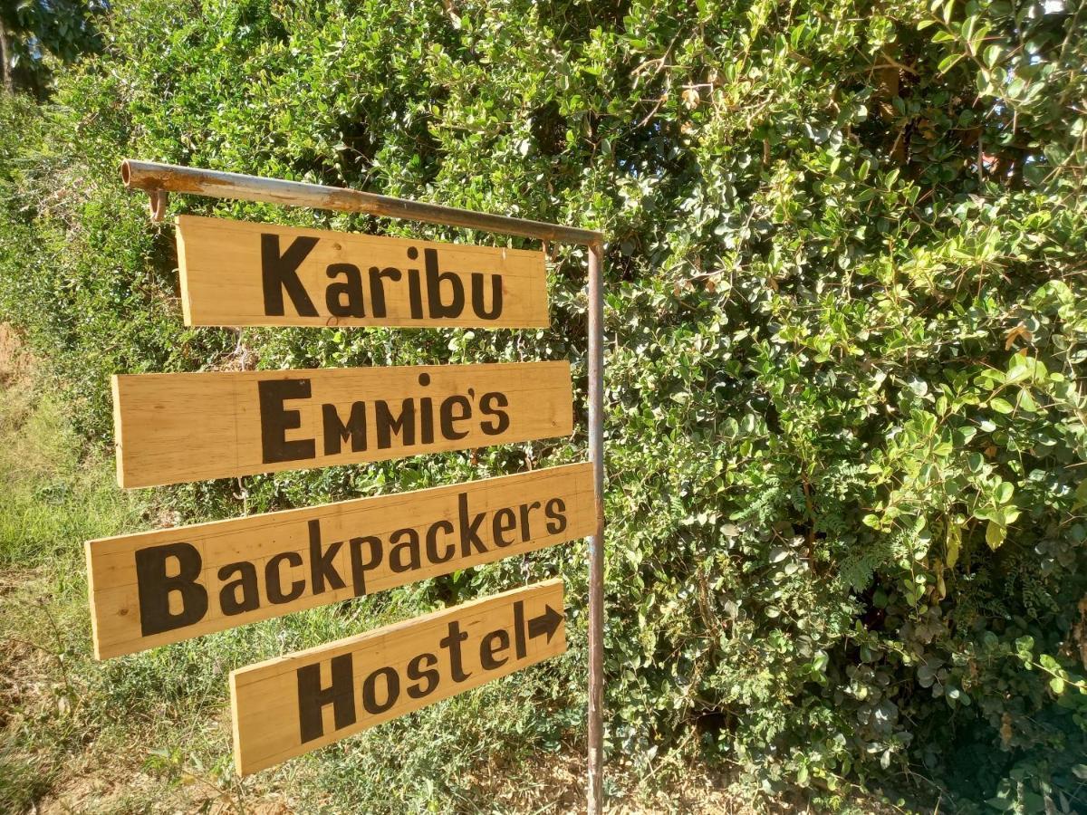 Emmy'S Backpackers Hostel อิริงกา ภายนอก รูปภาพ