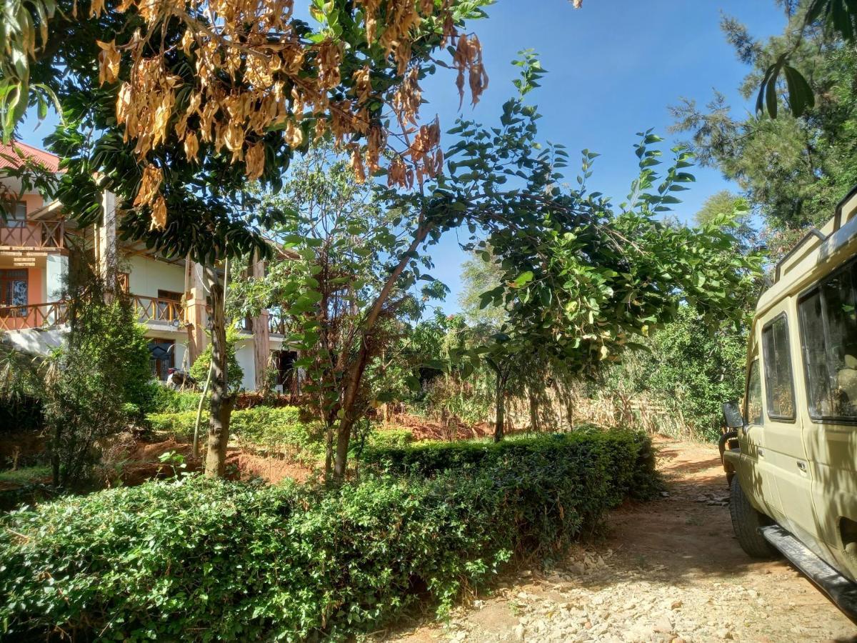 Emmy'S Backpackers Hostel อิริงกา ภายนอก รูปภาพ