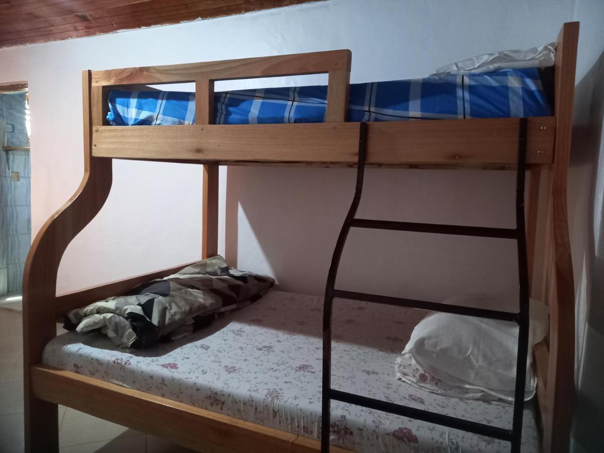Emmy'S Backpackers Hostel อิริงกา ภายนอก รูปภาพ