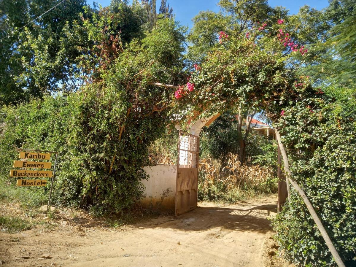 Emmy'S Backpackers Hostel อิริงกา ภายนอก รูปภาพ